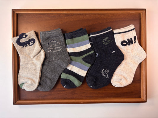 chaussettes enfants Dinosaure gris lot de 5